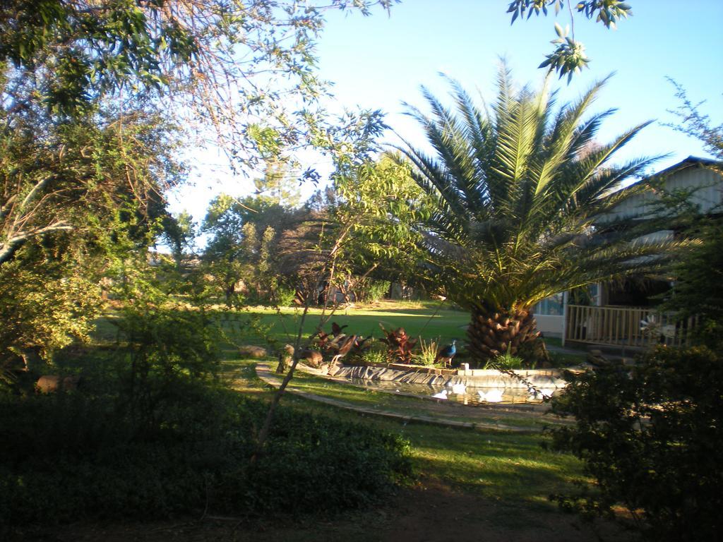 Akwela Guest Farm Hotel Bloemfontein Buitenkant foto