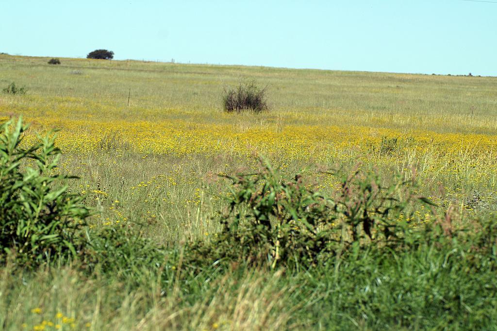 Akwela Guest Farm Hotel Bloemfontein Buitenkant foto