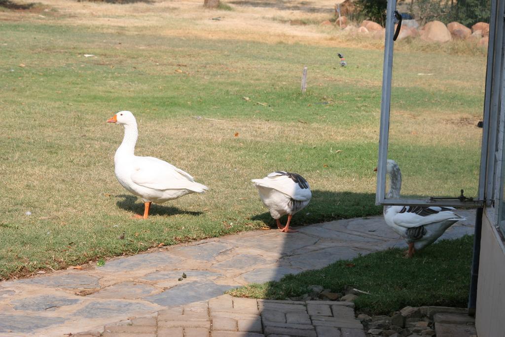 Akwela Guest Farm Hotel Bloemfontein Buitenkant foto